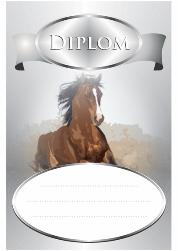 Diplom DP0008