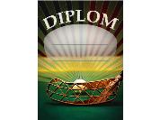 Diplom - Floorball D 29