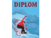 Diplom - Snowboard D 28